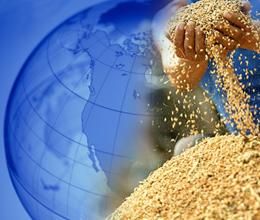 ອາຊຽນ ແບ່ງປັນຂໍ້ມູນກ່ຽວກັບຄ້ຳປະກັນຄວາມໝັ້ນຄົງດ້ານສະບຽງອາຫານ ແລະ ໂພສະນາການ